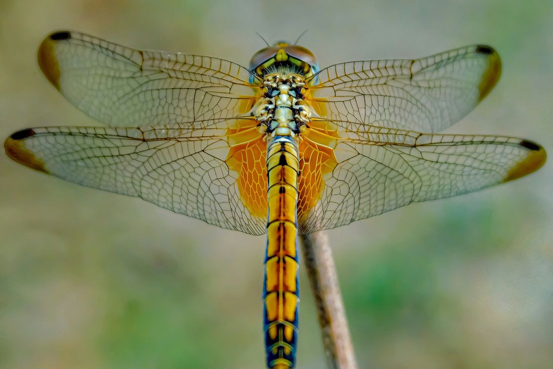 Self-Care: Your Roadmap to a Healthier, Happier You